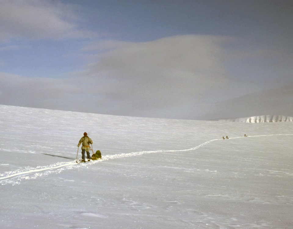 Spitzberg 1980, 1985